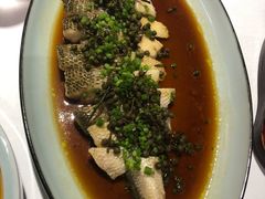 -禧宴Joyous Restaurant(禧园店)