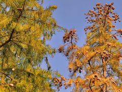 -梁鸿国家湿地公园