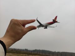 -空港花田景区