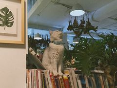 -小时光咖啡馆(北锣鼓巷店)