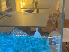 -极动室内恒温游泳馆