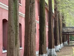 -浙江省杭州高级中学(贡院校区)