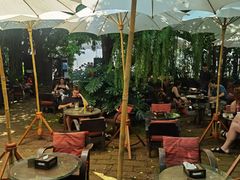 -Fern Forest Cafe