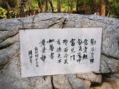 -红楼梦邮局