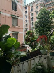 -匿名者纹身学院派·刺青