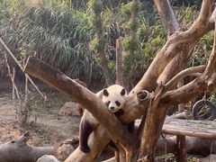 -宁波野生动物园