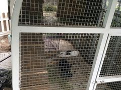 -乐融婴幼儿成长中心(四季青校区)