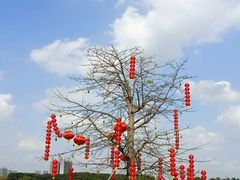 -海珠湖公园
