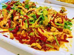-佶政筋饼·新概念(安阳路店)