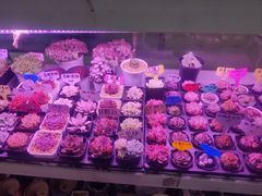 -无锡文化工艺品市场(槐古路店)