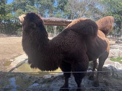 -宁波野生动物园