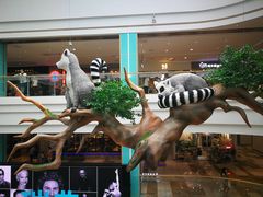 -大族广场Mall&More