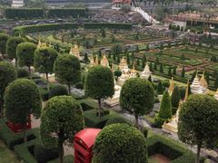 iphone_upload_pic-东芭乐园