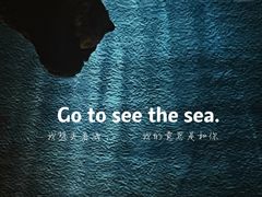 -上海海洋水族馆
