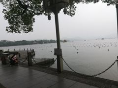 -西湖外事游船(湖滨二公园外事游船码头)