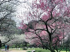 -杭州植物园