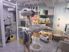 -爱洗澡的猫(天河路店)