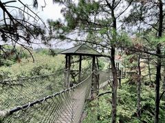 -高淳老街