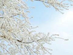 -全季酒店(重庆上清寺牛角沱地铁站店)