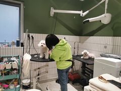 -電力宠物公司(武定路店)