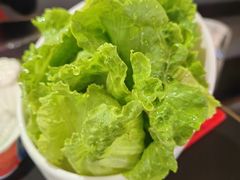 生菜-京悦南门涮羊肉·羊蝎子火锅(田林路店)