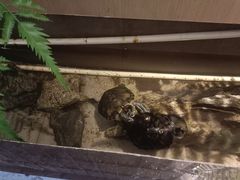 -鹤祥宫·影院足道·SPA连锁(苹果园店)