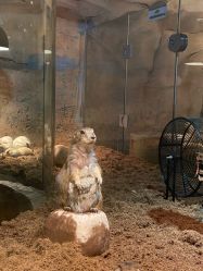 -Zoolung Zoolung动物主题公园(海信广场店)