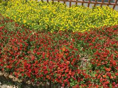 -七宝老街-闵行市民文化广场