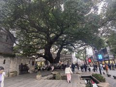 -长人馄饨铺(解放街店)
