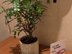 -CURRY YA 熟成咖哩專門店(深圳湾万象城店)