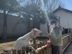 -乌村