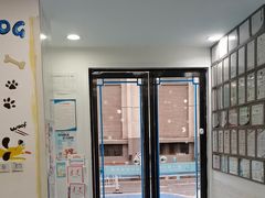 -特一安24小时宠物医院·骨科·中兽医