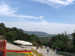 -北京西山国家森林公园