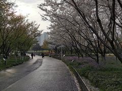 -白塘生态植物园