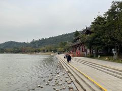 -顺峰山公园