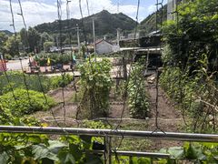 -村东第一家私房菜馆(古北水镇店)