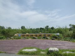 -泗洪洪泽湖湿地景区