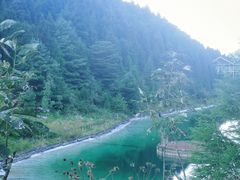 -武陵山森林公园