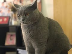 -壹人壹像工作室(购物公园店)