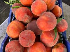 -江杨农产品批发市场