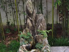 -上海醉白池公园