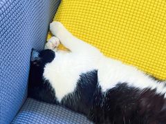 -路易时光(蕴川路店)