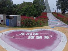 -东澳岛