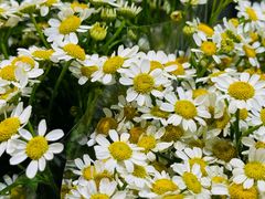 -稻田秋(怡美广场店)