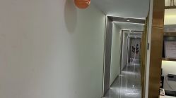 -MIDA蜜哒•科技逆龄美肤连锁