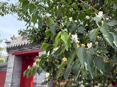 -西海子公园