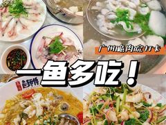 -港升鱼师傅·中山脆肉鲩
