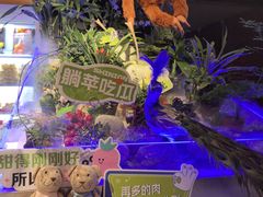 -涨巢·潮玩水疗局