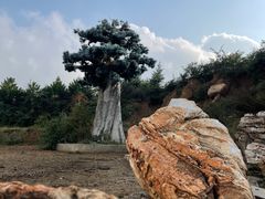 -灵山
