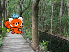 -同里国家湿地公园